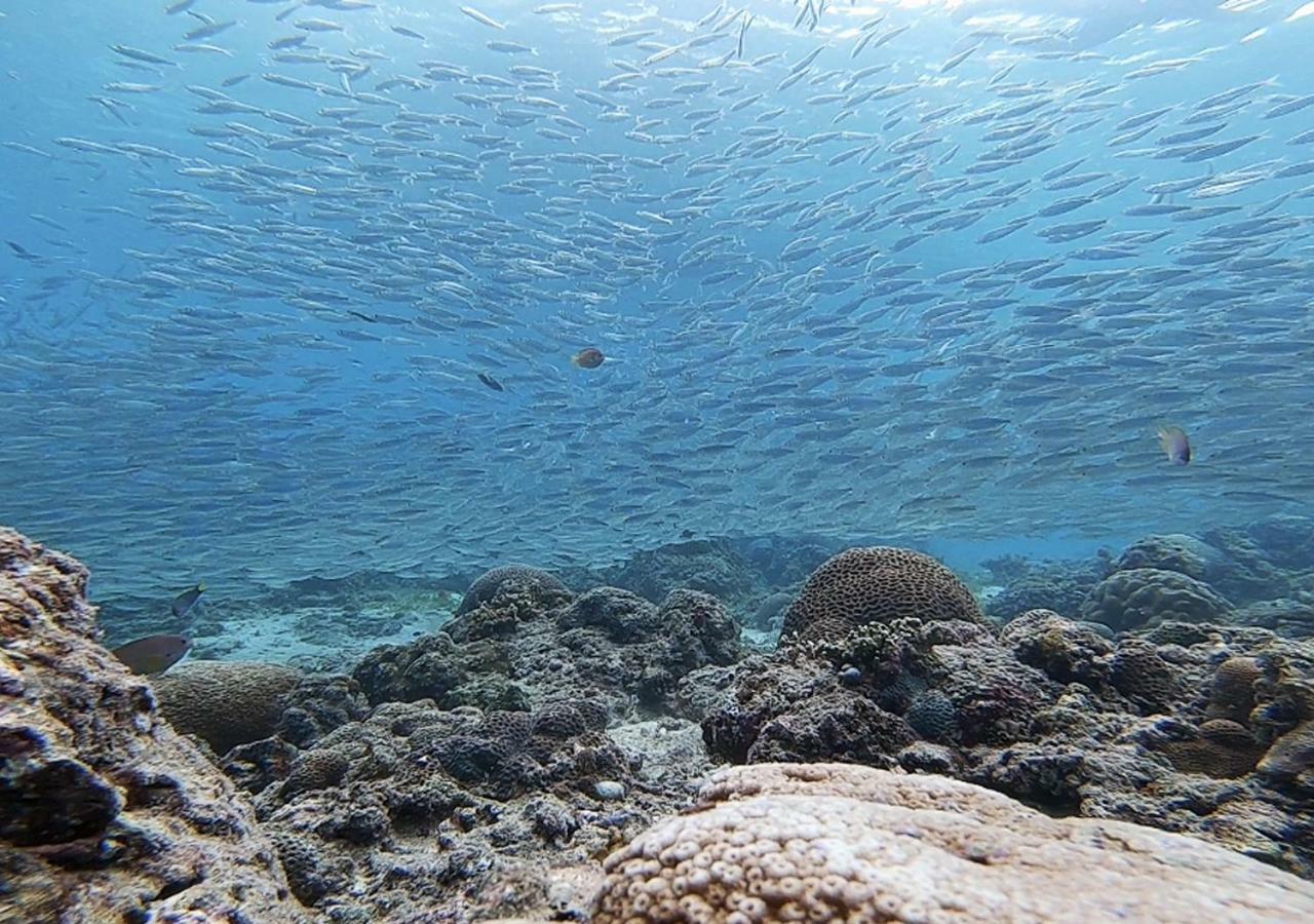 Pescadores Suites Moalboal Luaran gambar